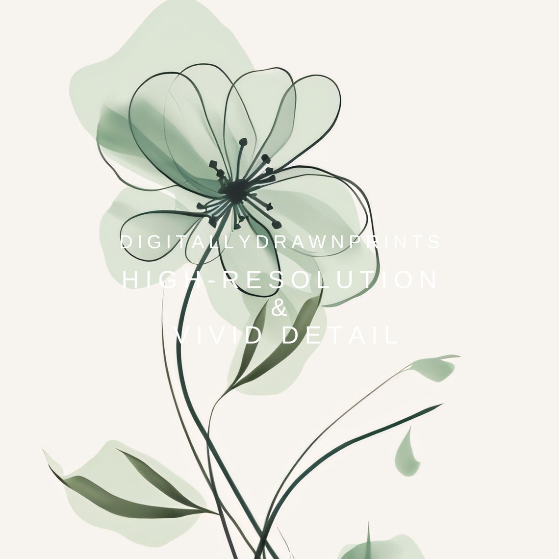 Sage Green Translucent Flower Line Illustration Boho Botanical Print - Image 2