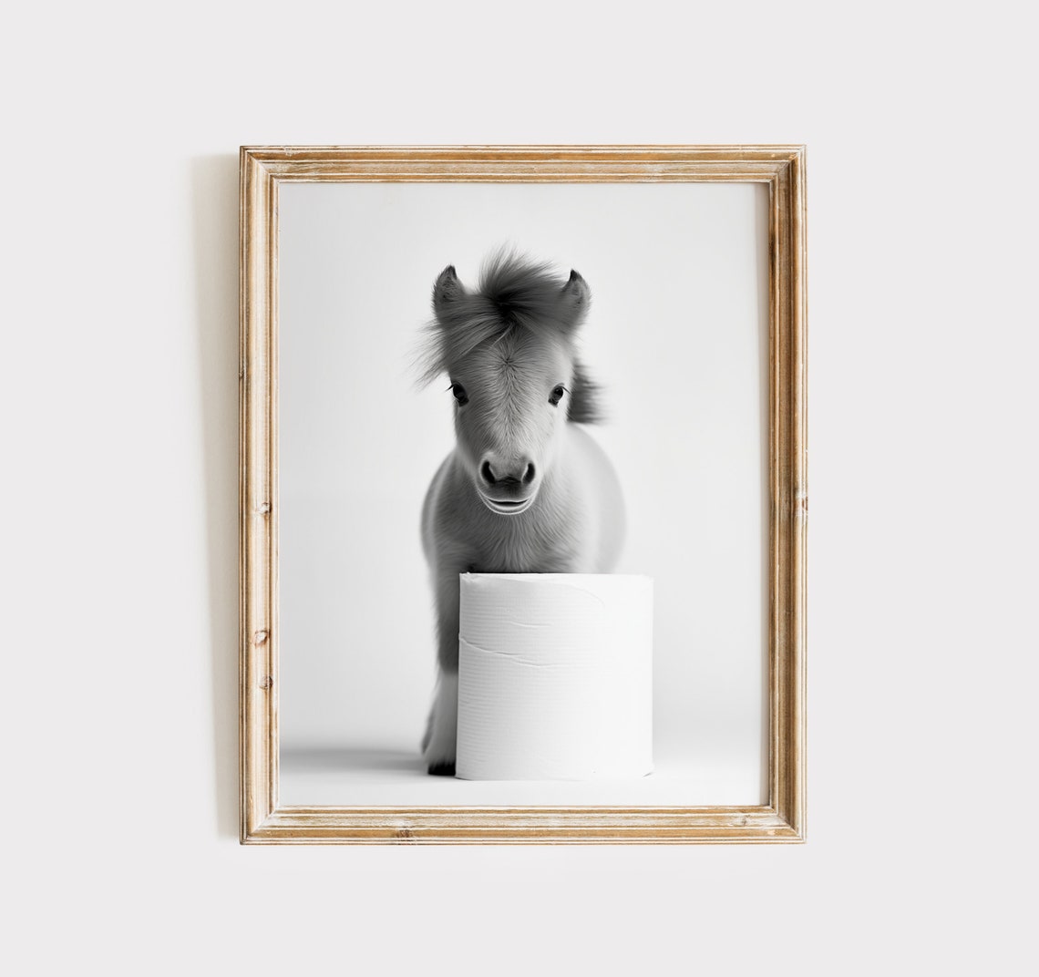 Baby Horse Foal Toilet Paper Roll Funny Black White Photo Poster