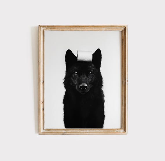 Funny Black and White Wolf with Toilet Paper Roll on Head Poster