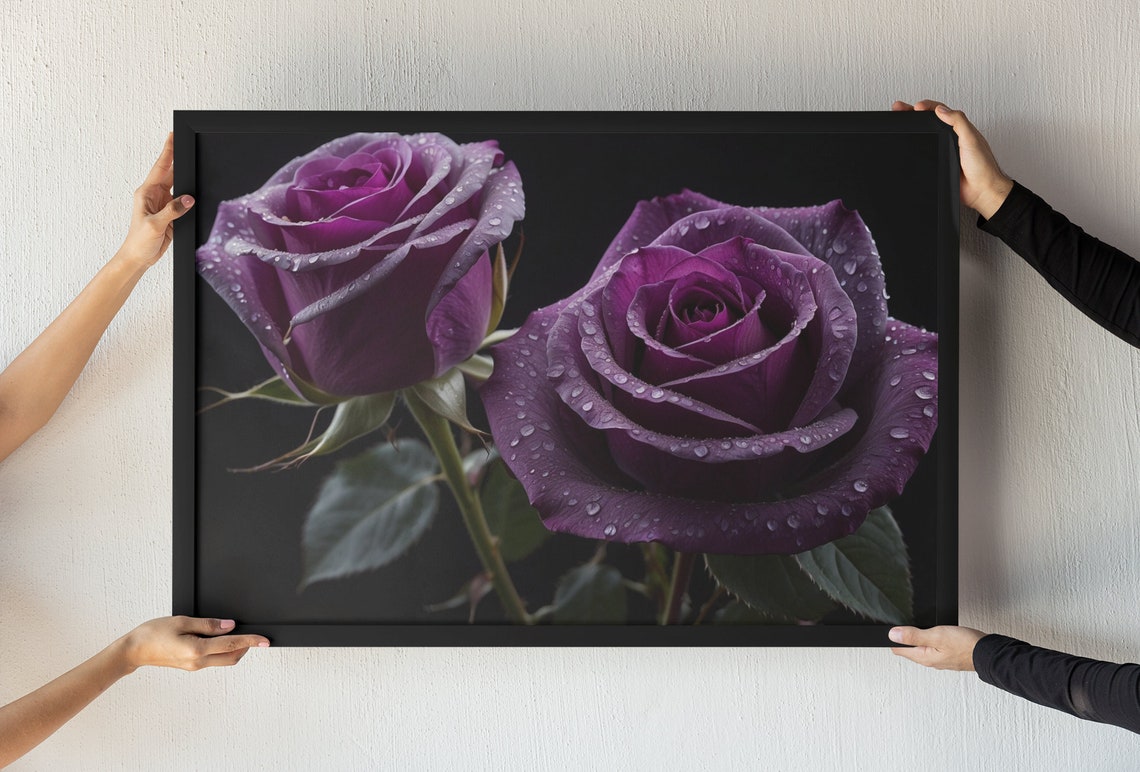 Two Purple Roses With Dewdrops On Black Dramatic Floral Poster - Image 4