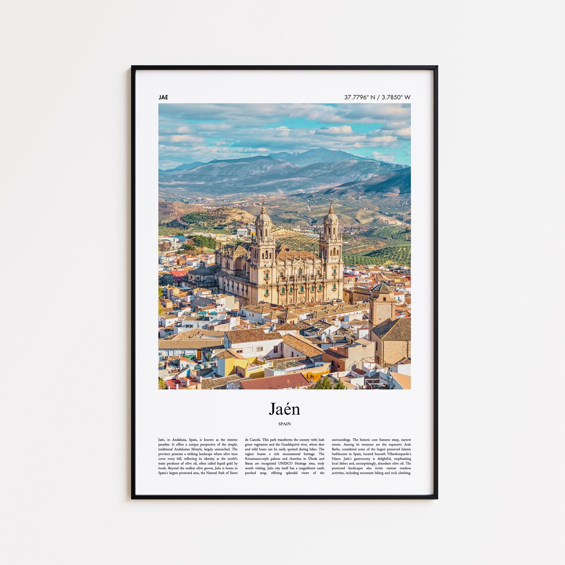 Jaén Spain Cathedral Old Town Olive Hills Travel Photo Poster