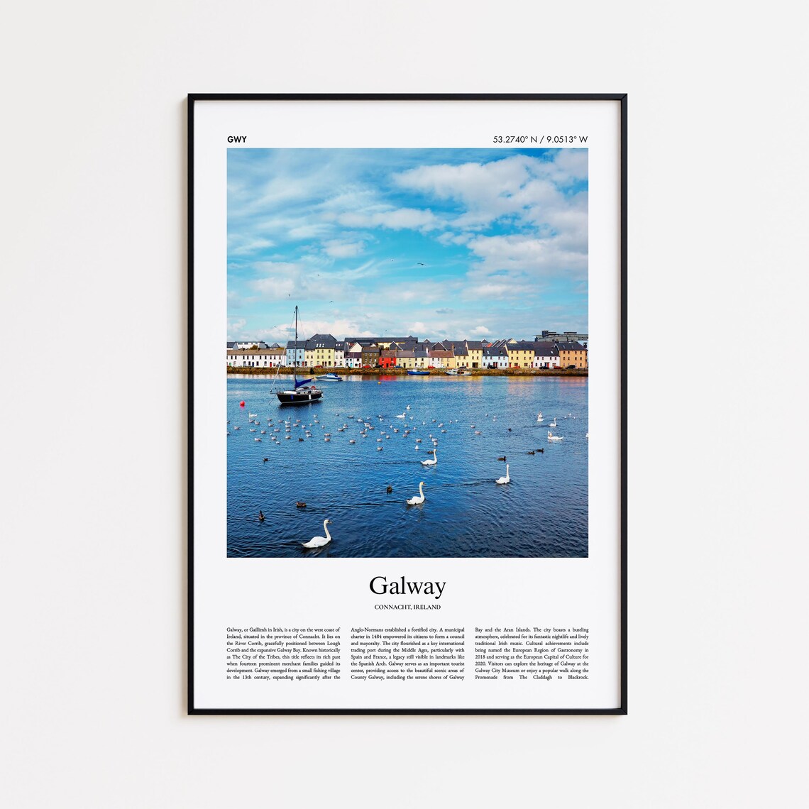 Galway Ireland Harbor Swans and Colorful Houses Travel Poster