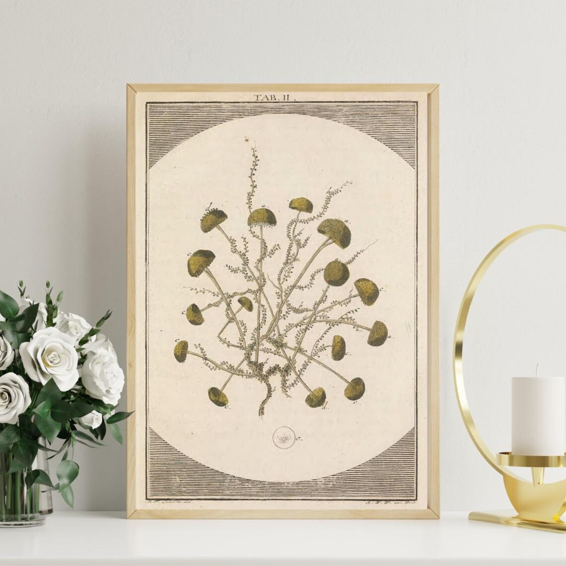 Mushroom Drawing Vintage Botanical Art Print - Image 2