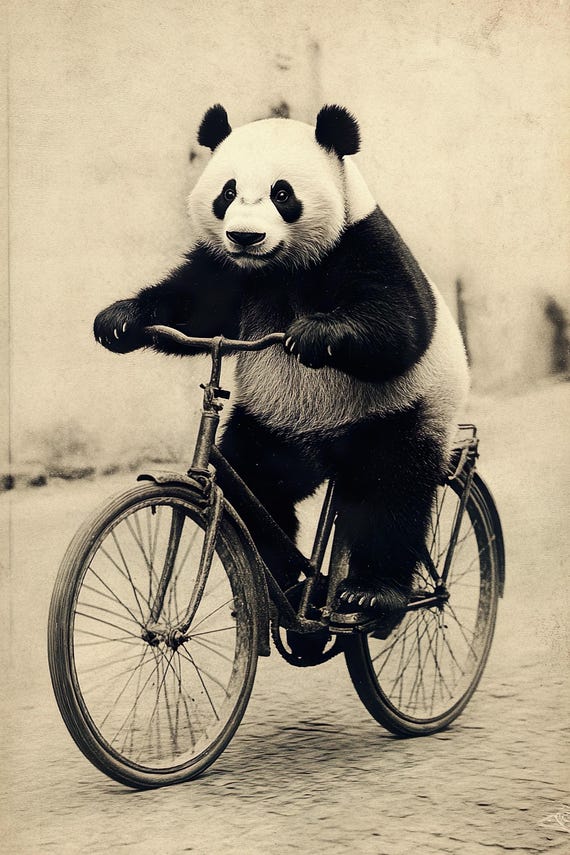 Panda Riding A Bike Funny Animal Wall Art Panda With Bicycle Funny Vintage Style Animal Photo Cute Retro Home Print Ai Art