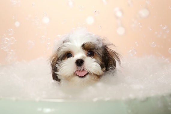 Shih Tzu Pup In The Bathtub Cute Dog Photograph Shih Tzu In Bubble Bath Funny Animal Prints Funny Bathroom Wall Art Ai Art