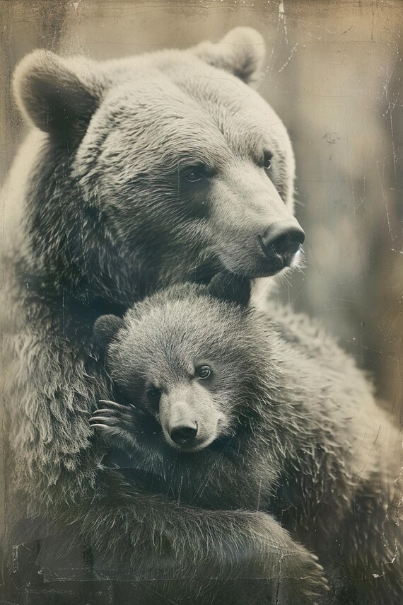 Mother Bear Cub Embrace Vintage Sepia Sweet Nursery Wall Art