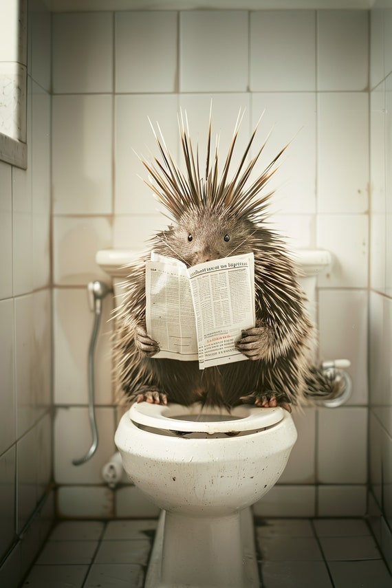 Porcupine Sitting On The Toilet Reading A Newspaper Funny Bathroom Humor Wall Decor Funny Animal Print Home Ai Print