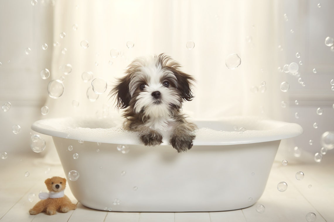 Adorable Shih Tzu Puppy In Bubble Bath With Floating Bubbles Poster
