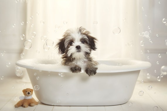 Shih Tzu Pup In The Bathtub Cute Dog Photograph Shih Tzu In Bubble Bath Funny Animal Prints Funny Bathroom Wall Art Ai Art