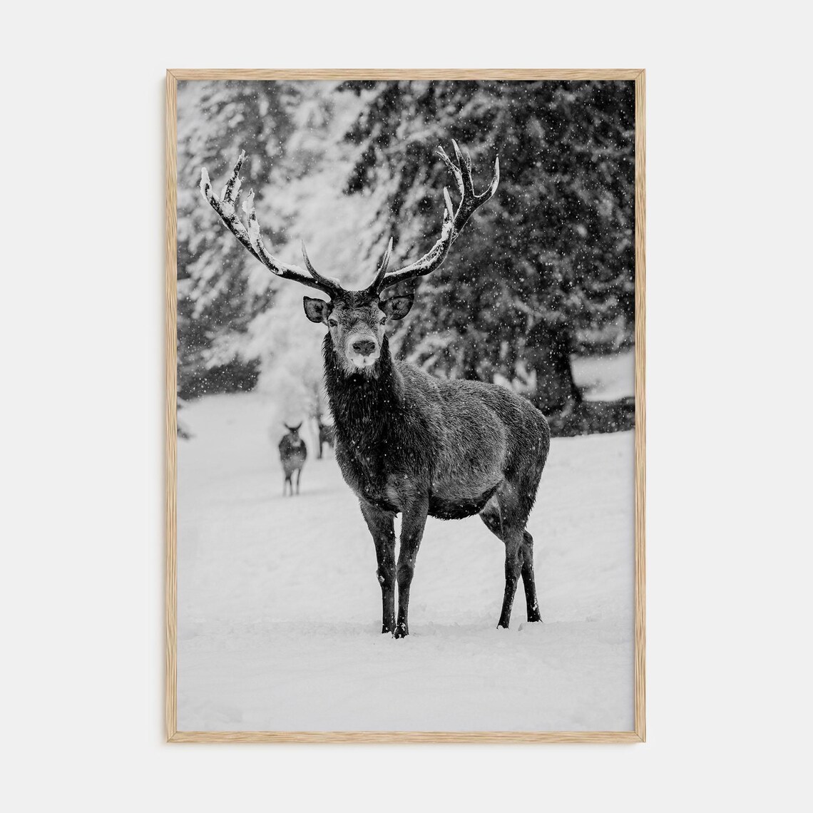 Majestic Red Deer Stag Snowfall Black and White Wildlife Poster