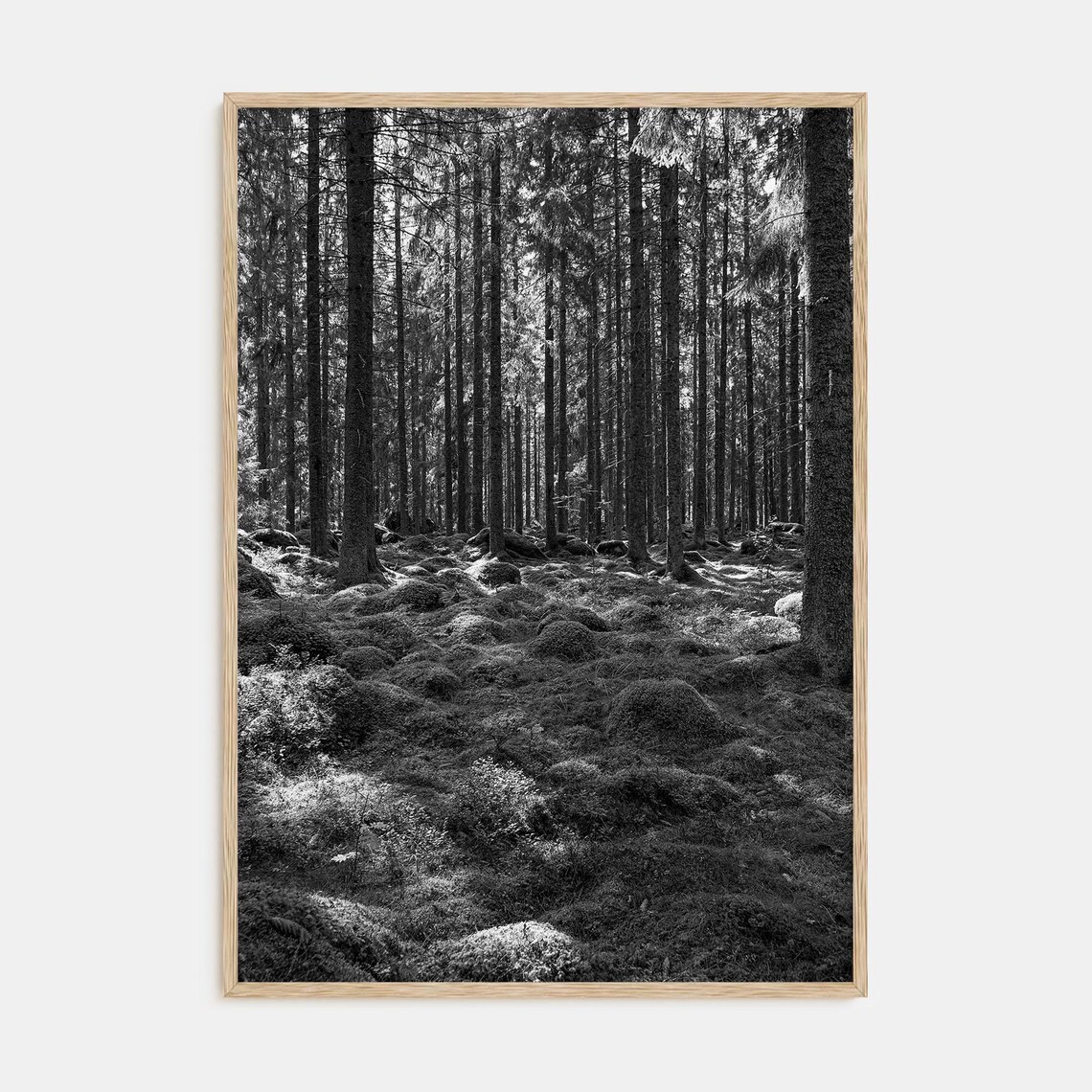 Mossy Scandinavian Pine Forest Black and White Nature Poster