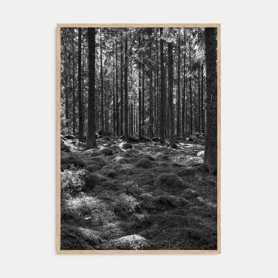 Scandinavian Forest Print Fine Art Black White Photography Poster For Nature Lovers Home Decor Wall Art Minimalist Design
