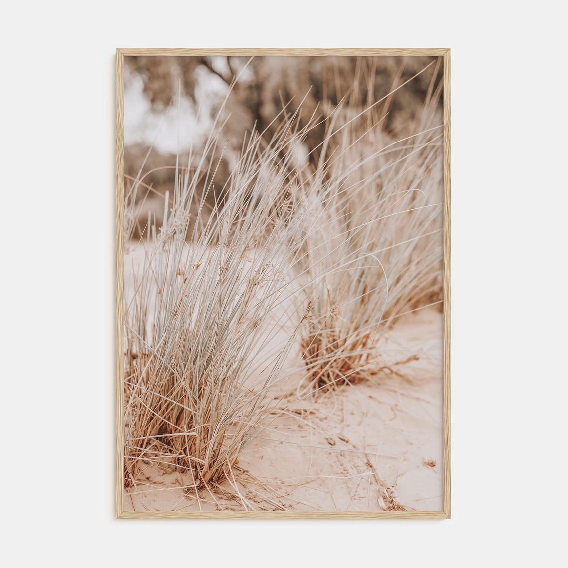 Wind Blown Beach Grass on Dunes Minimal Neutral Photo Poster