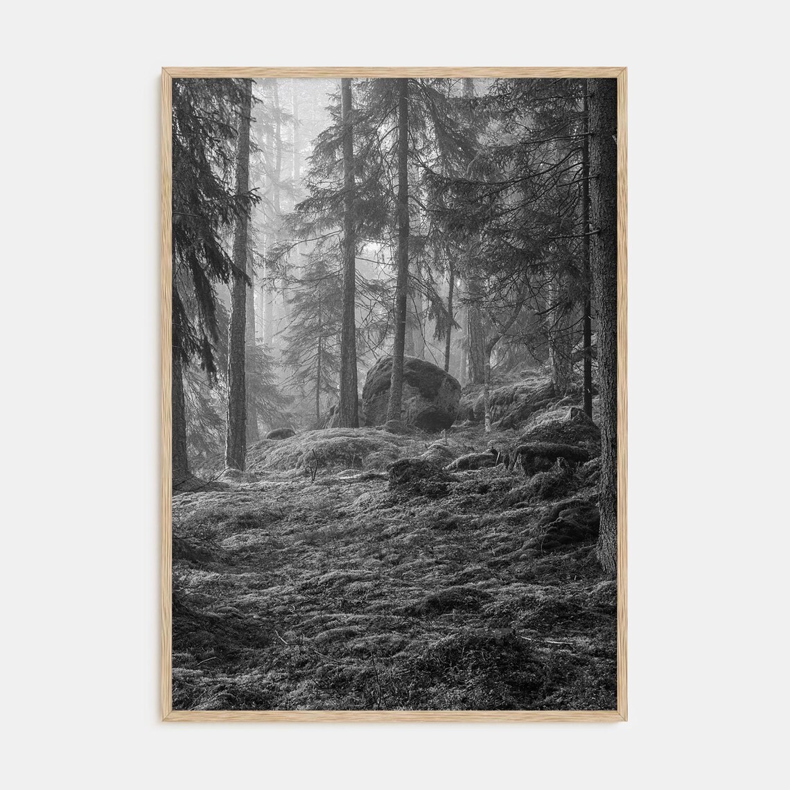 Pine Tree Forest Black and White Nature Art Print