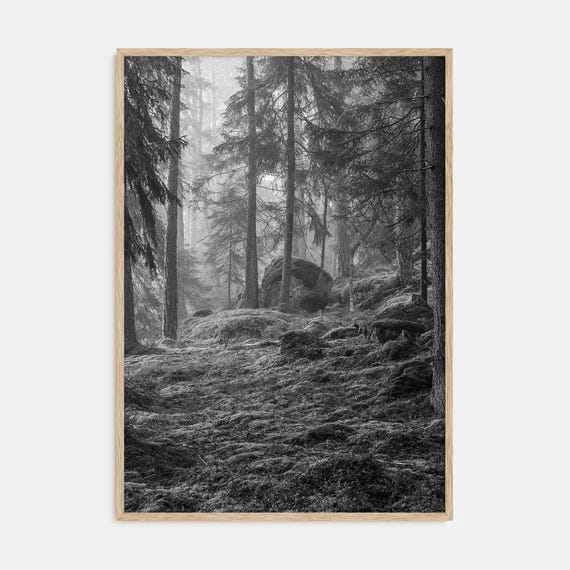 Pine Tree Forest Black and White Nature Art Print