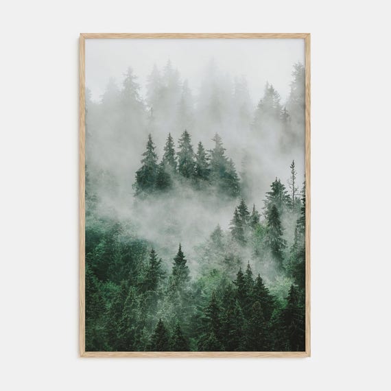 Fine Art Foggy Forest Print Color Photography Poster For Home Decor Wall Art