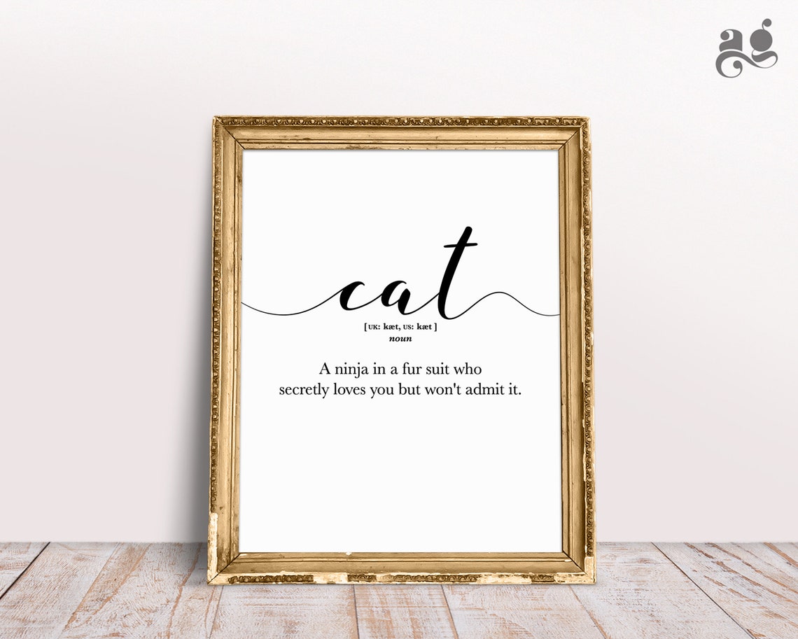 Cat Dictionary Definition Ninja in a Fur Suit Funny Cat Humor Poster - Image 3