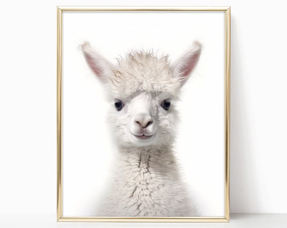Baby Alpaca Nursery Decor Woodland Nursery Art Framed Print For Baby Room Forest Animals Theme Baby Animals Wall Art Poster Prints