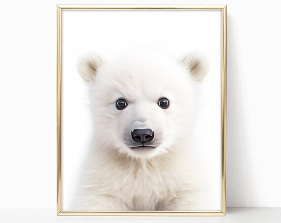 Baby Polar Bear Nursery Portrait Cute Fluffy White Cub Art Print