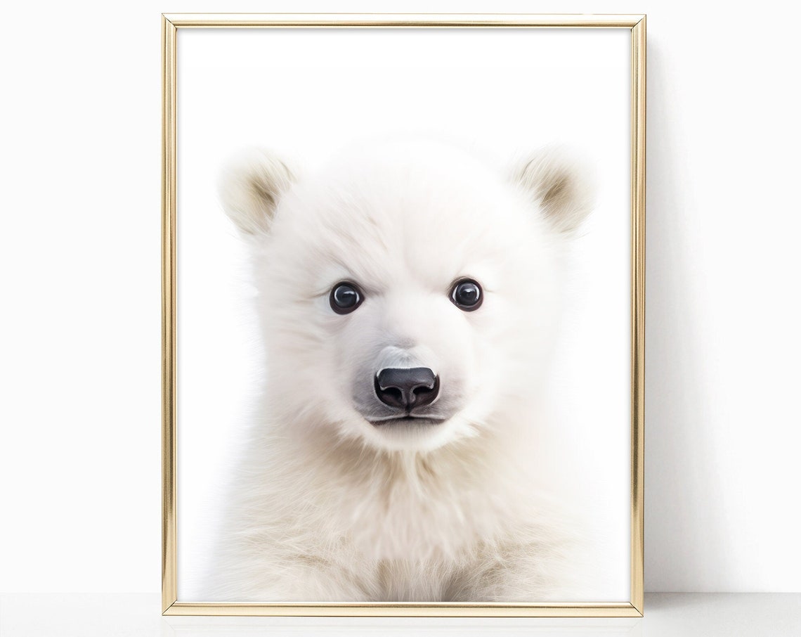 Baby Polar Bear Nursery Portrait Cute Fluffy White Cub Art Print