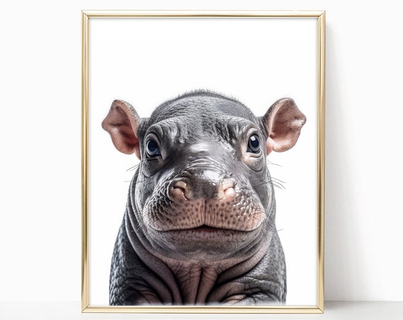 Baby Hippo Nursery Decor Woodland Nursery Art Framed Print For Baby Room Forest Animals Theme Baby Animals Wall Art Poster Prints