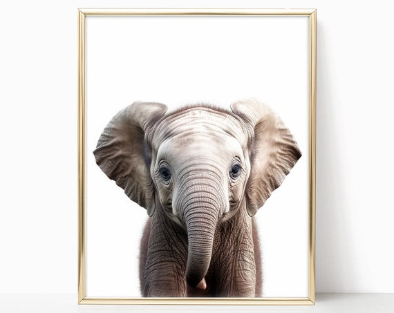 Baby Elephant Nursery Decor Woodland Nursery Art Framed Print For Baby Room Forest Animals Theme Baby Animals Wall Art Poster Prints