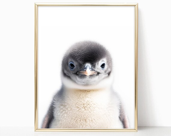 Adorable Baby Penguin Closeup Portrait Nursery Animal Art Print