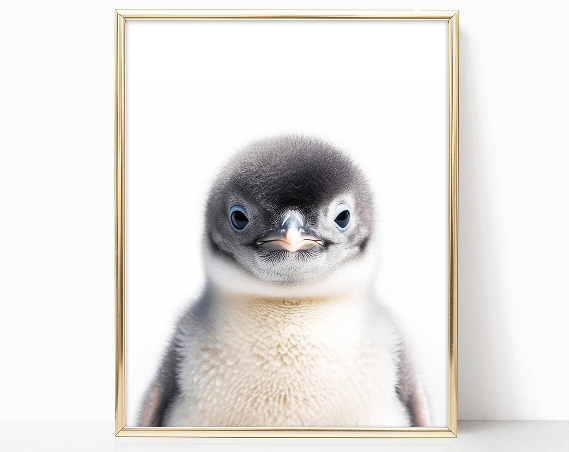 Adorable Baby Penguin Closeup Portrait Nursery Animal Art Print
