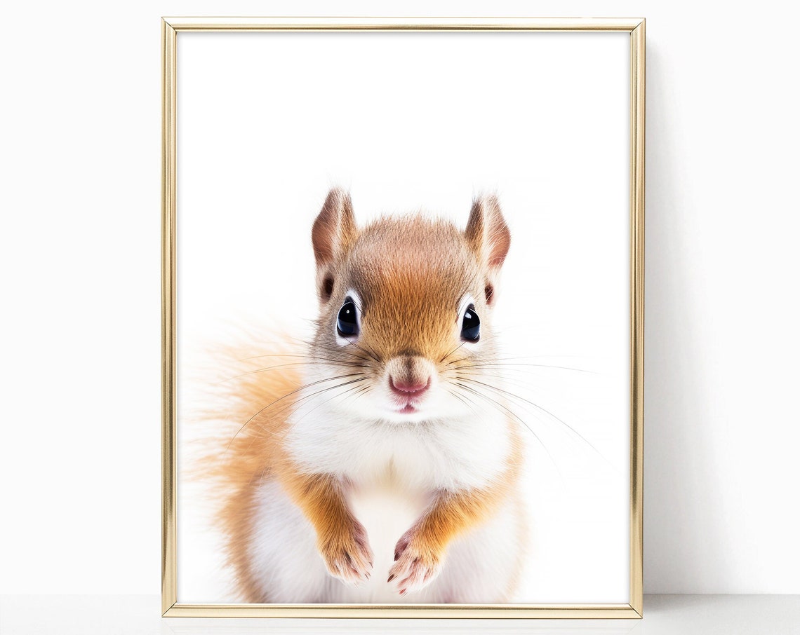 Baby Squirrel Nursery Portrait Cute Red Kit Minimalist Print