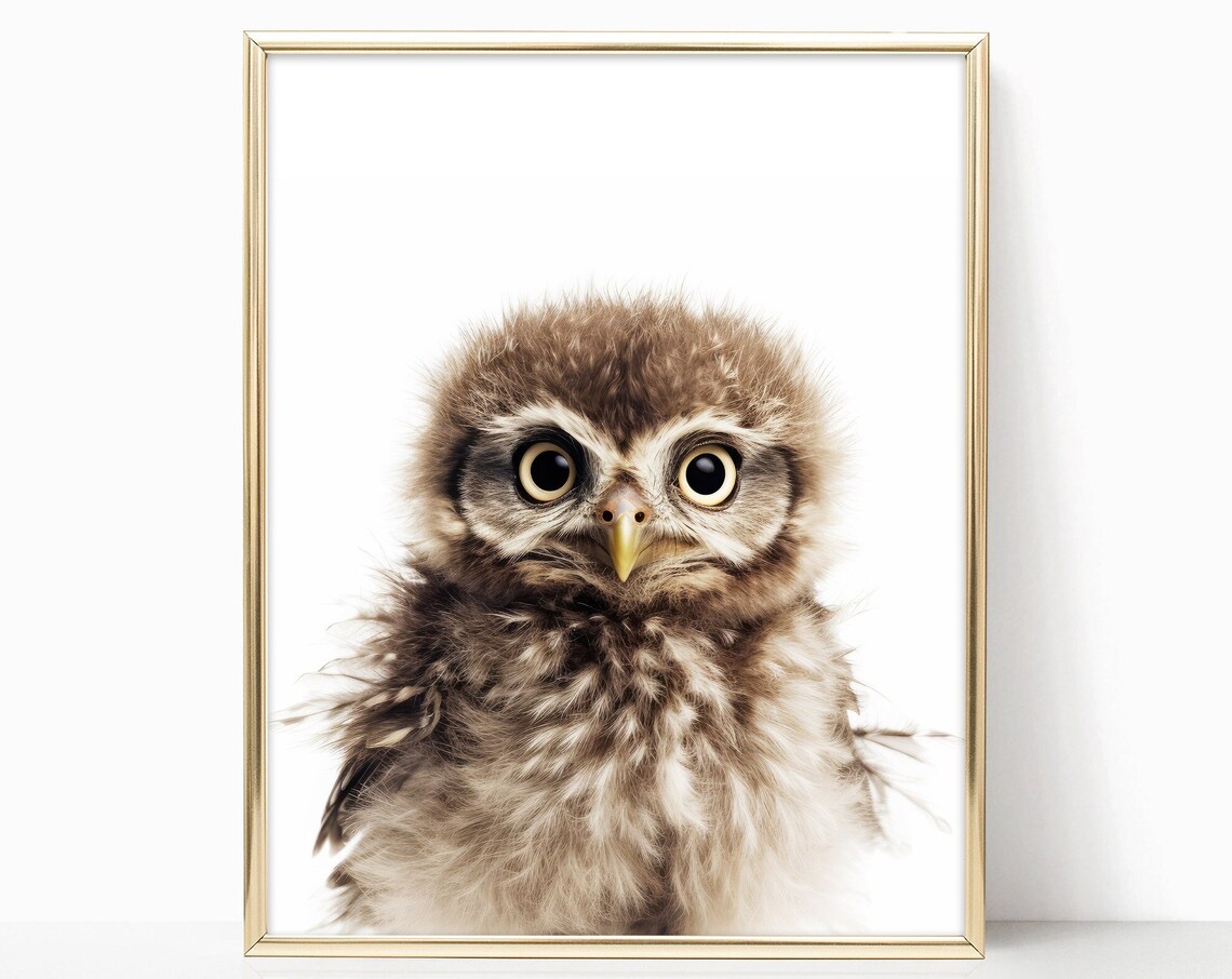 Adorable Baby Owl Closeup Portrait Woodland Nursery Art Print