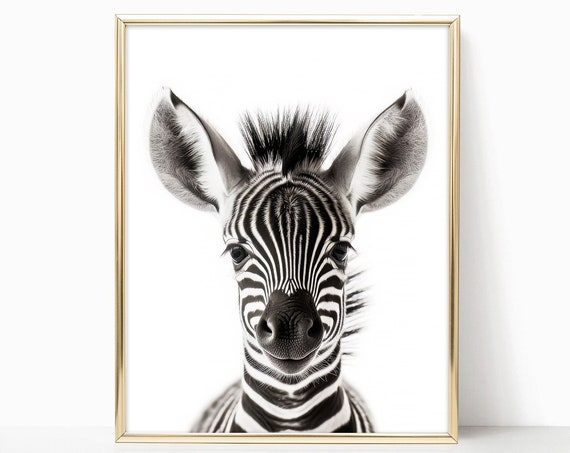 Baby Zebra Nursery Decor Woodland Nursery Art Framed Print For Baby Room Forest Animals Theme Baby Animals Wall Art Poster Prints