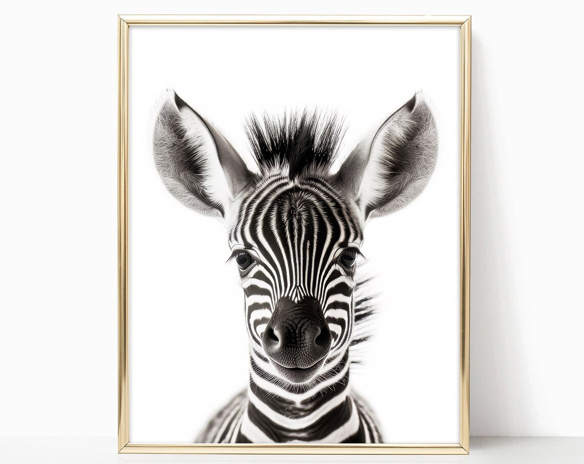 Adorable Baby Zebra Closeup Portrait Nursery Animal Art Print