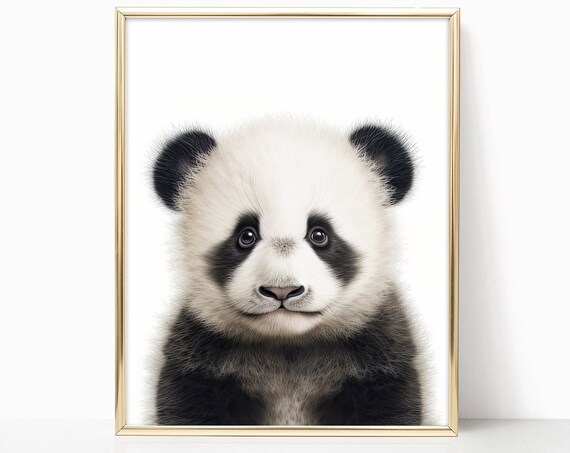 Sweet Baby Panda Nursery Portrait Cute Black White Cub Art Print
