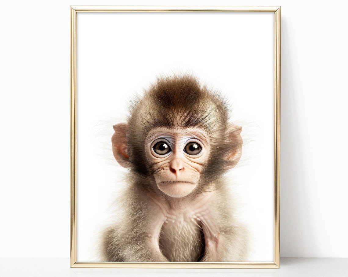 Adorable Baby Monkey Closeup Portrait Nursery Animal Art Print
