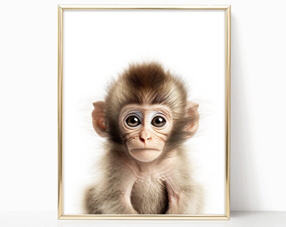 Adorable Baby Monkey Closeup Portrait Nursery Animal Art Print