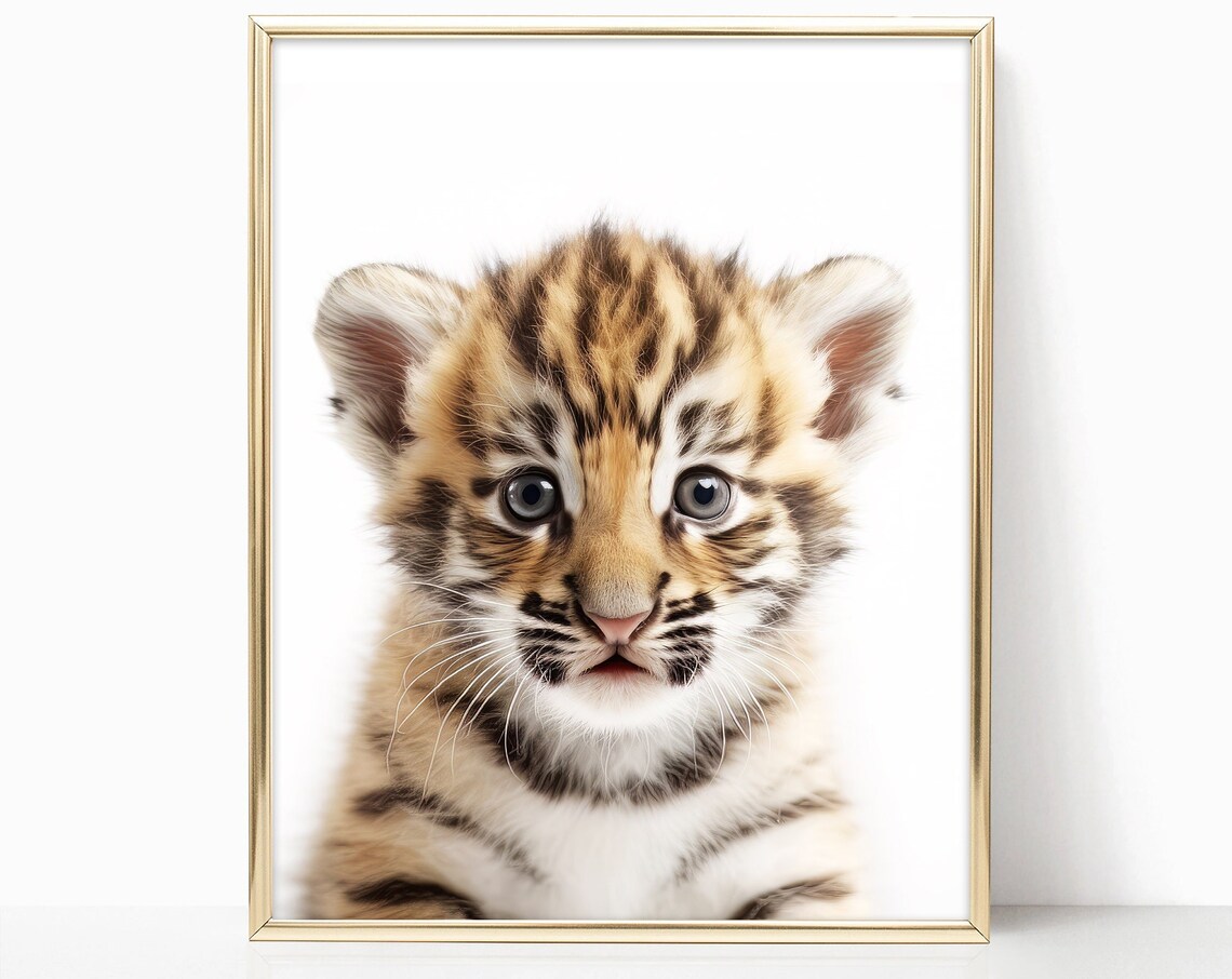 Adorable Baby Tiger Cub Closeup Portrait Nursery Animal Art Print
