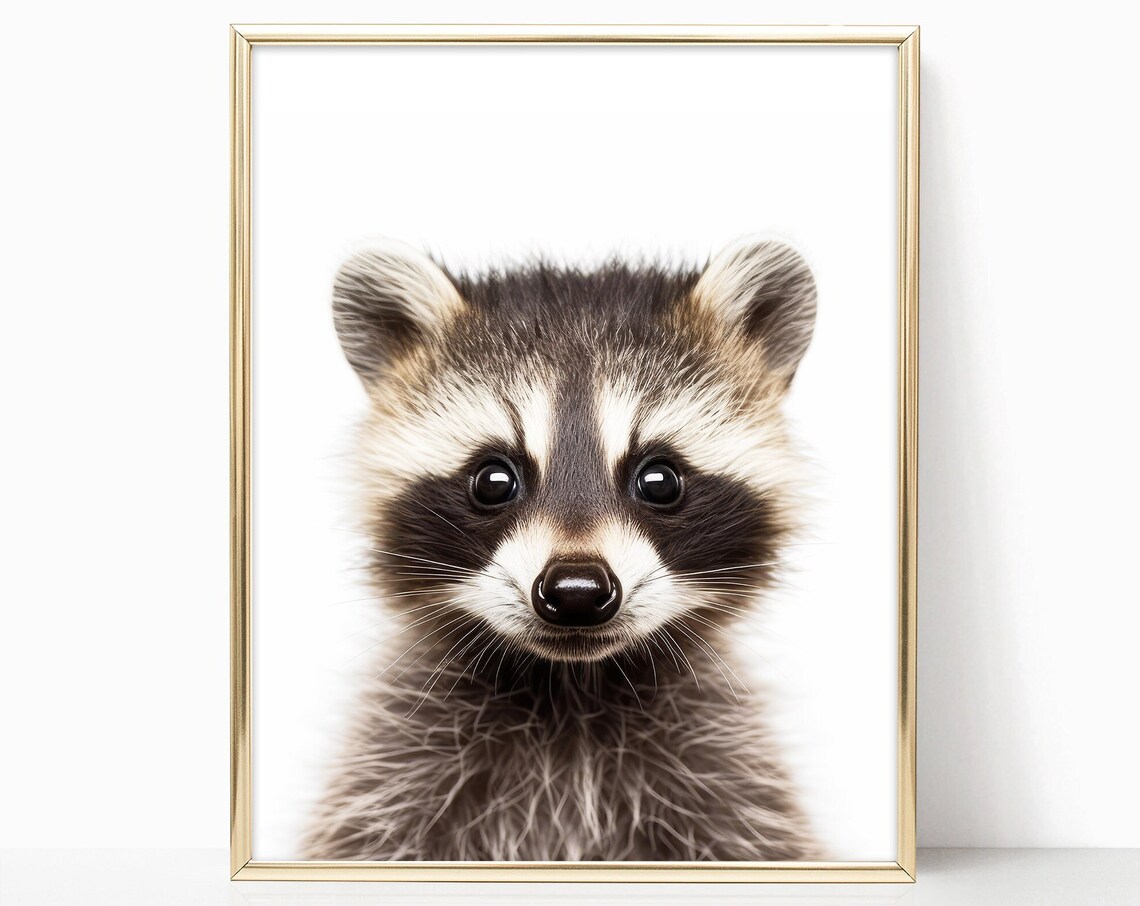 Baby Raccoon Nursery Portrait Cute Sweet Woodland Kit Art Print