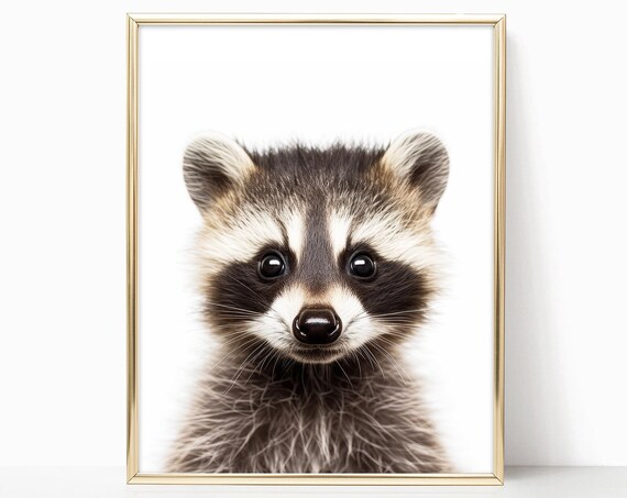 Baby Raccoon Nursery Portrait Cute Sweet Woodland Kit Art Print