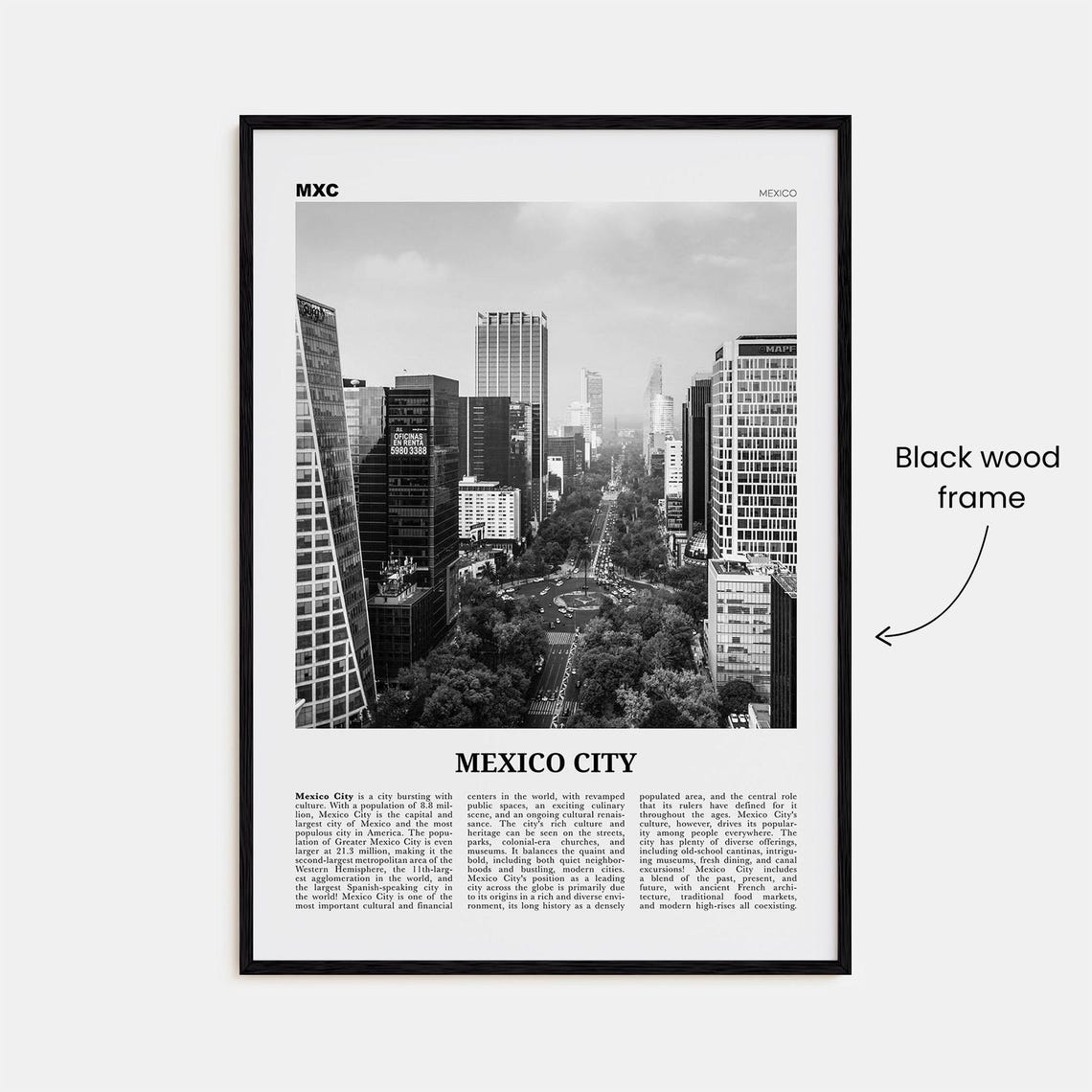 Mexico City Black and White Travel Wall Art Print - Image 3