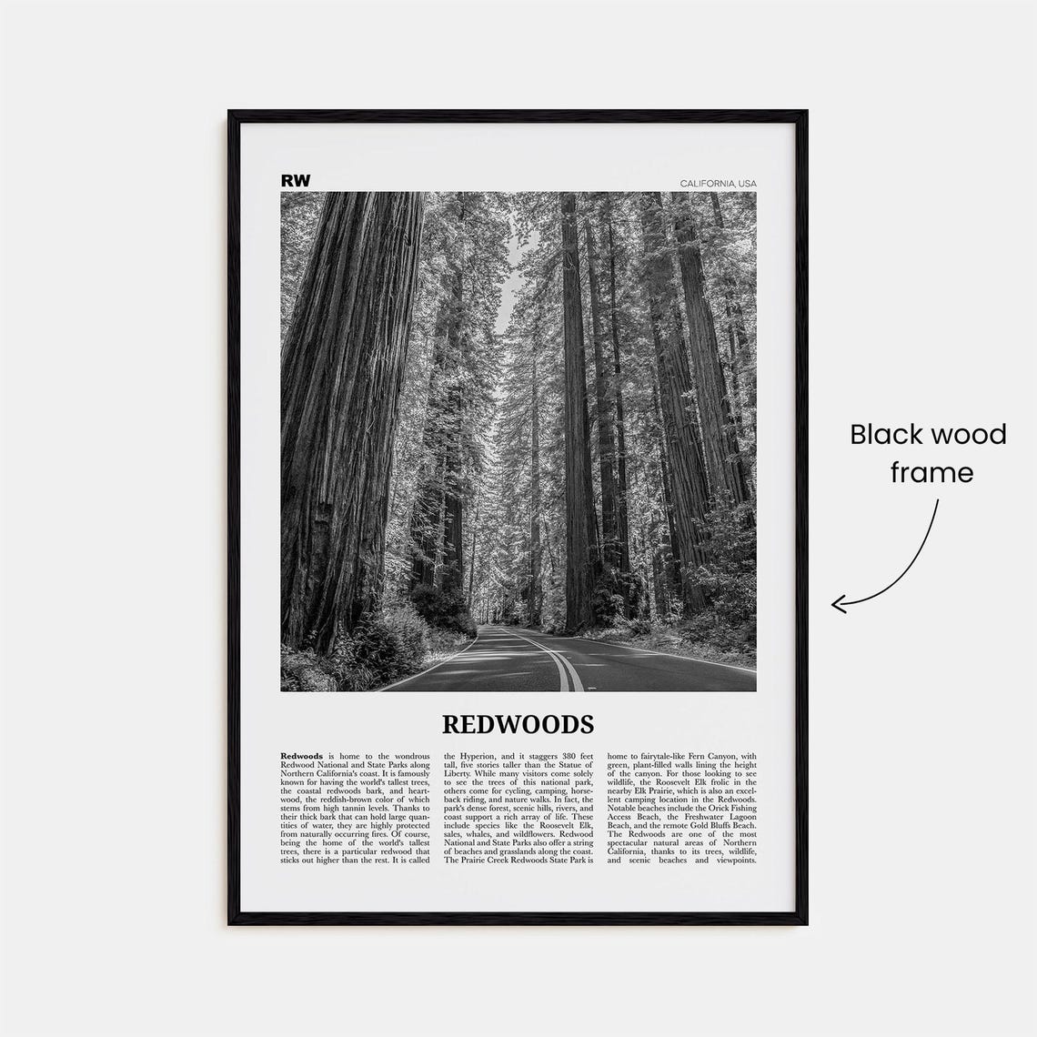 Redwoods Black And White California Travel Poster - Image 3