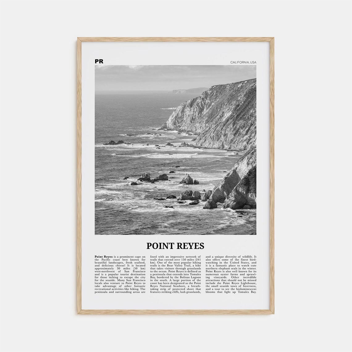 Point Reyes Black and White California Travel Poster