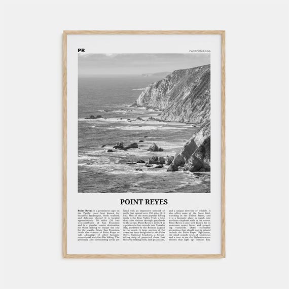 Point Reyes Black and White California Travel Poster