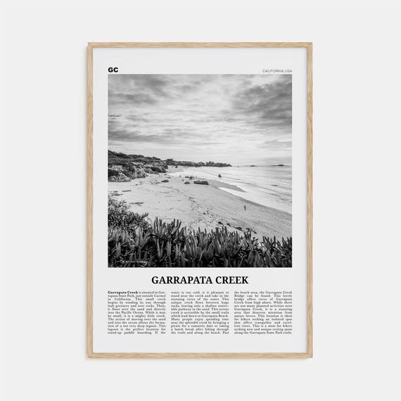 Garrapata Creek Print Black And White Garrapata Creek Wall Art Garrapata Creek Poster Garrapata Creek Photo Garrapata Creek Wall Dcor