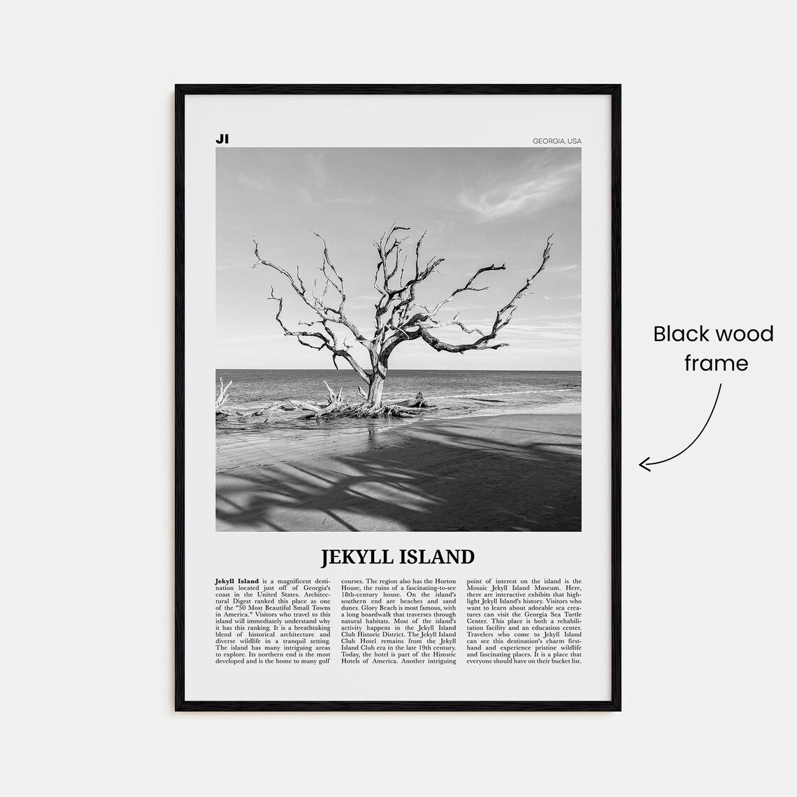 Jekyll Island Black and White Travel Poster, Georgia - Image 3