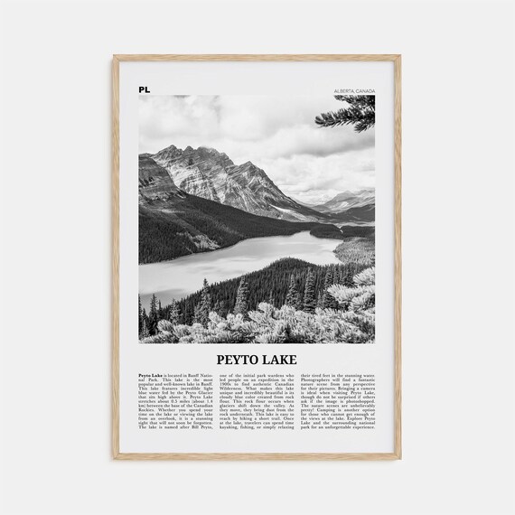 Peyto Lake Black and White Travel Poster Print