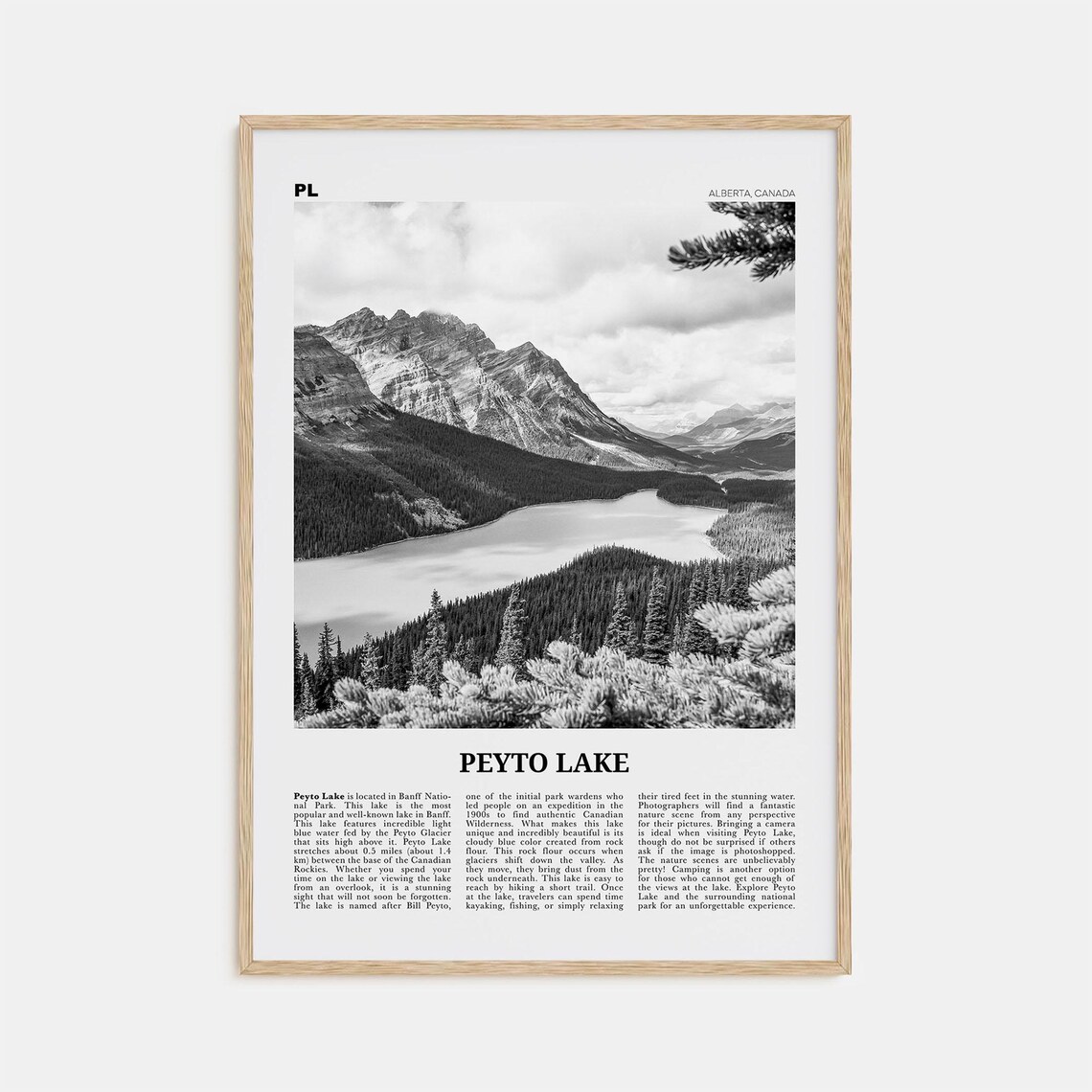 Peyto Lake Black and White Travel Poster Print