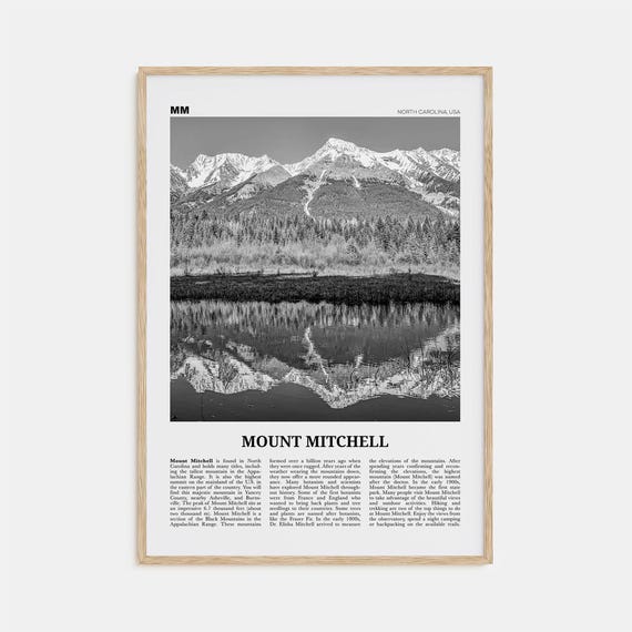 Mount Mitchell, North Carolina Black And White Poster