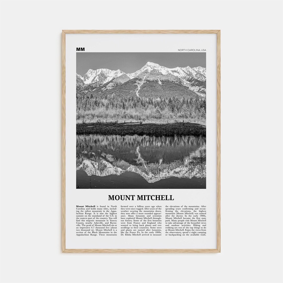 Mount Mitchell, North Carolina Black And White Poster