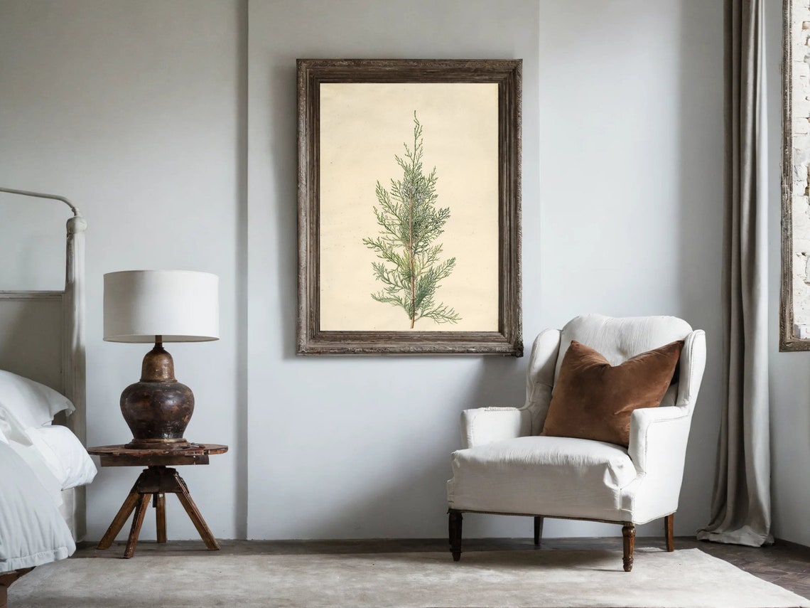 Vintage Cypress Sprig Botanical Study Cream Herbarium Art Poster - Image 6
