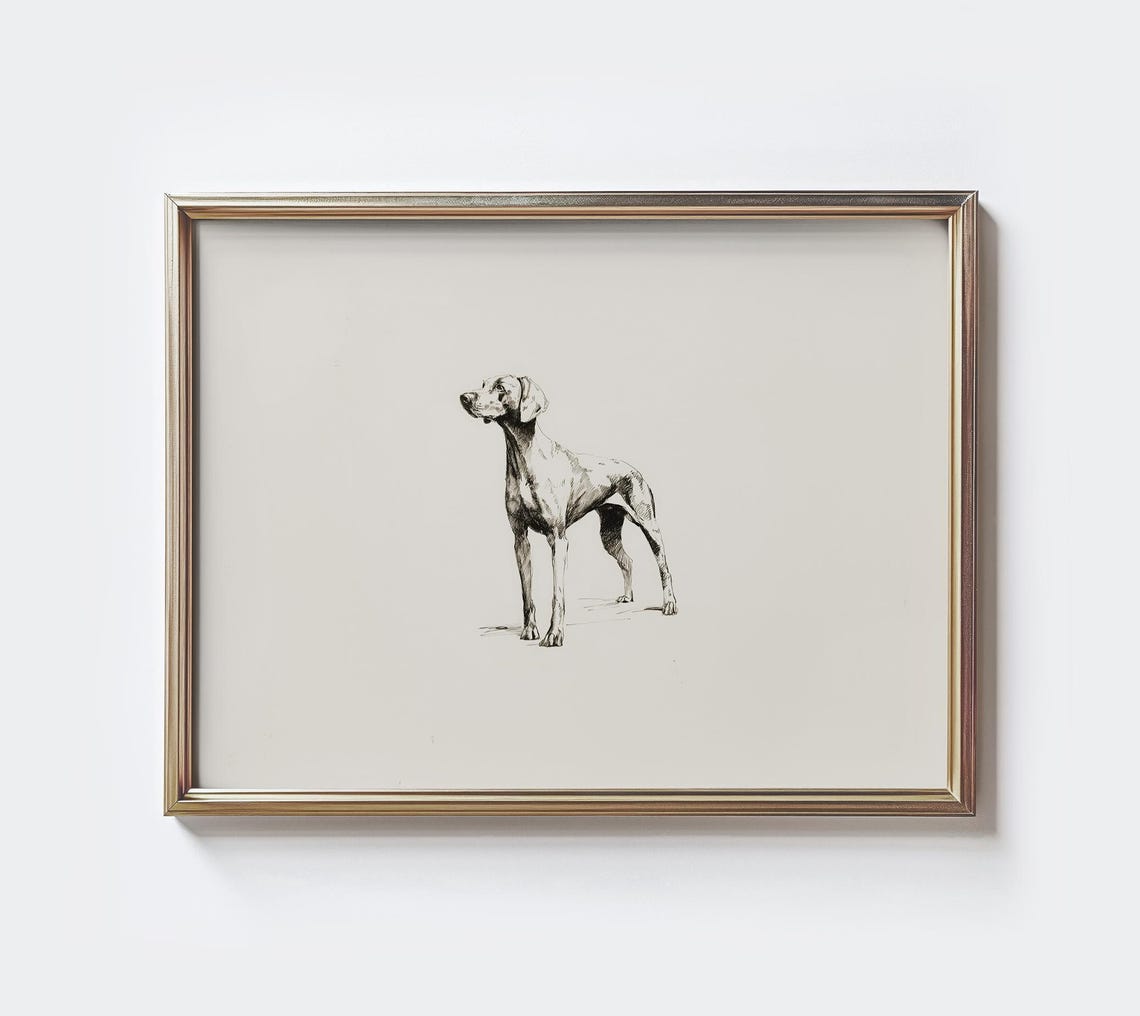 Vizsla Dog Sketch Print Minimalist Rustic Farmhouse Art